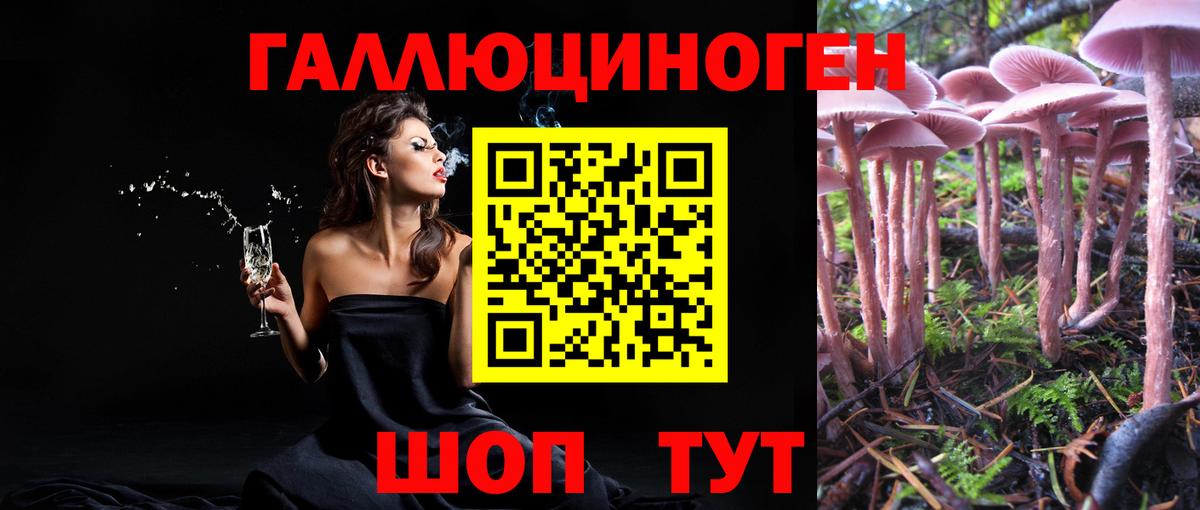 Псилоцибиновые грибы мухоморы Новотроицк